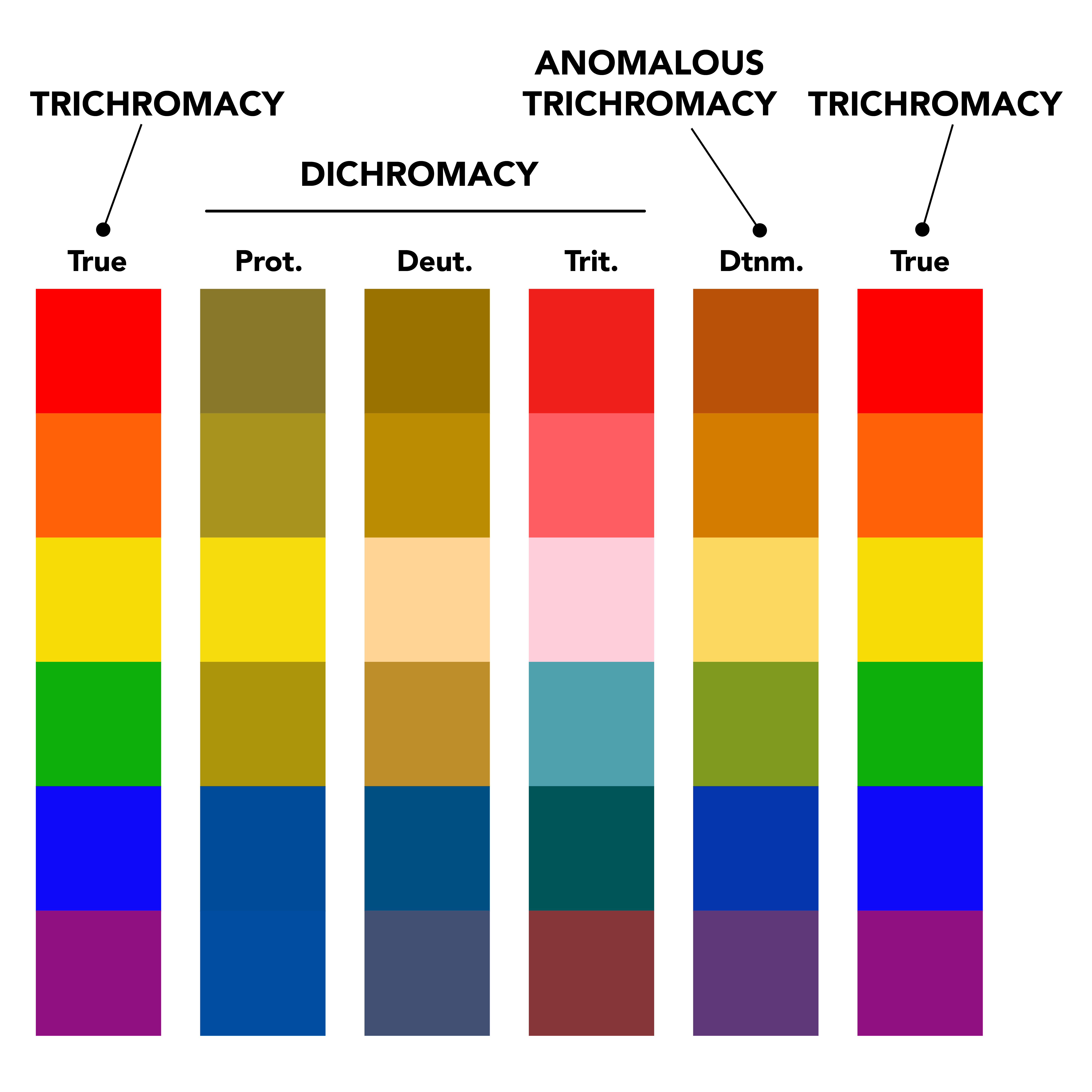 Coloring for Colorblindness